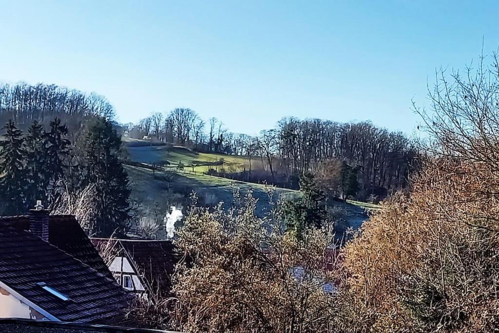 Kleine, Gemuetliche Dachgeschosswohnung Laudenbach  Buitenkant foto